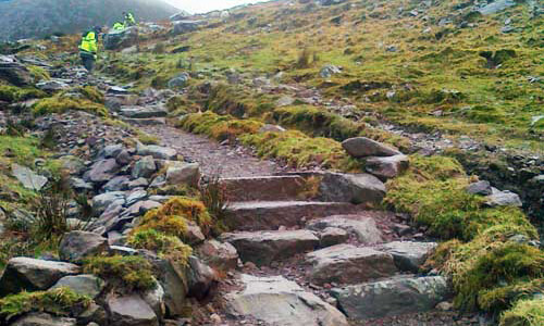 Habitat & Upland Trail Repair