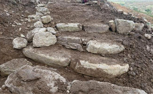 Strickeen after work carried out