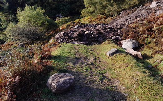 Strickeen after landslilde